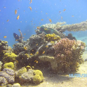 Red Sea, Eilat
