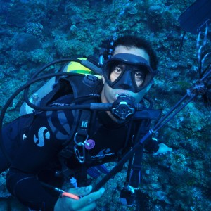 lion fish  at Dragon's hole