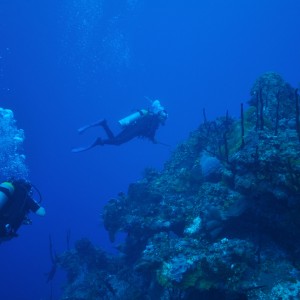 Govener's wall