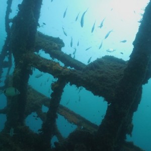 Malta with Anchor Diving 2012