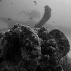 Malta with Anchor Diving 2012