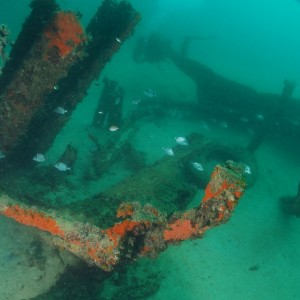 Malta with Anchor Diving 2012