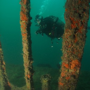 Malta with Anchor Diving 2012