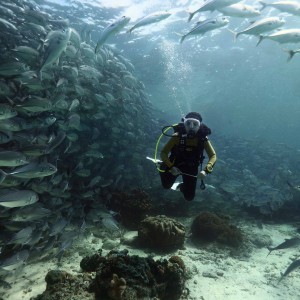 Sipadan 2011