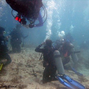Coral Restoration Dives with Eckerd College Divers March 2013