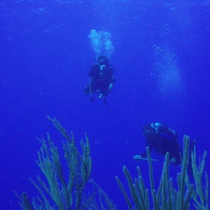 Diving in Ponce PR