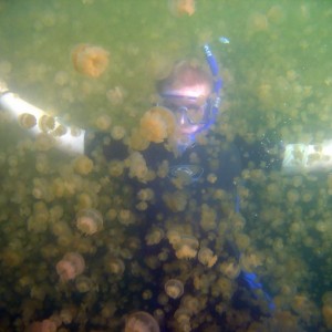 Jellyfish Lake