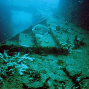 Ancient-Mariner Wreck Stairs