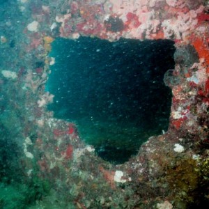Ancient-Mariner Wreck Window