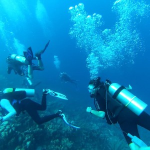 Bonaire June 2013