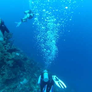 Bonaire June 2013