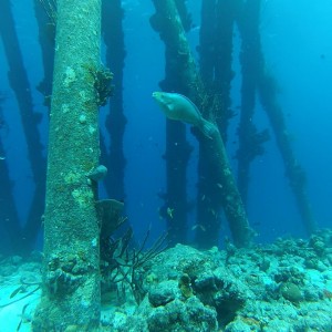 Bonaire June 2013