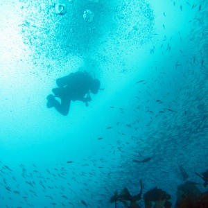 Diving the SueJac 12-17-2012