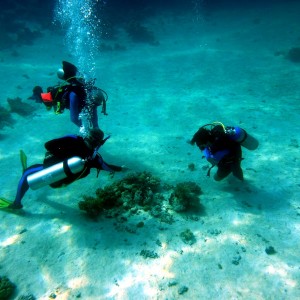 Underwater Geologists