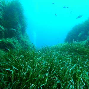 2012 - Punta Galera: