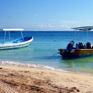 Diving Pics of Puerto Morelos