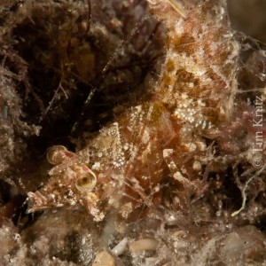 jpeg-2975
