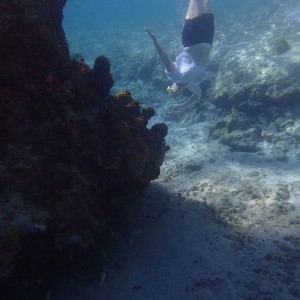 Snorkeling Devils Gate