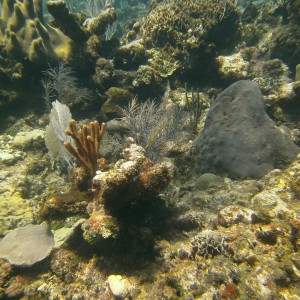 Roatan