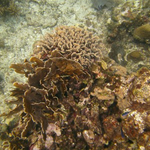 PICT017013