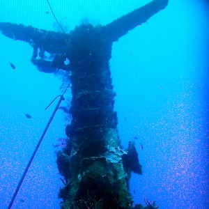 Playa del Carmen