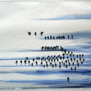 CENT MANCHOTS - 100 penguins - by Pascal