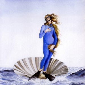 COQUILLAGE VENERÉ - Revered shellof Venus -  by Pascal