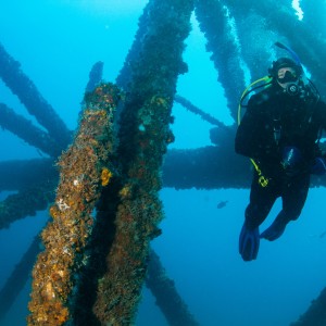 Diving Rigs to Reefs