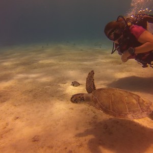 Bonaire June 2014