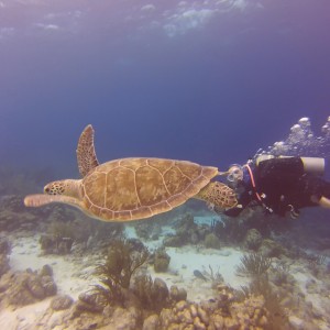 Bonaire June 2014