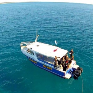 Brisbane diving