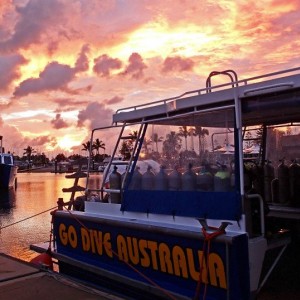 Brisbane diving