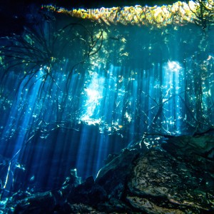 Amazing Caves & Caverns with Planet Scuba Mexico