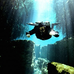Amazing Caves & Caverns with Planet Scuba Mexico