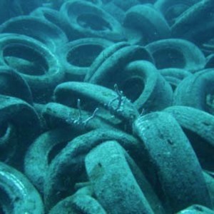 Destruction of Florida Reefs 700,000 tires