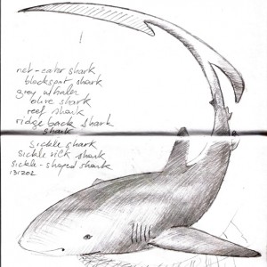 Carnet Bleu: Encyclopedia of…shark, vol.XI p 04 -  by Pascal
