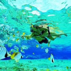 Little Cayman paradise for snorkeling & diving!!!