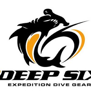 Deep6 Logo