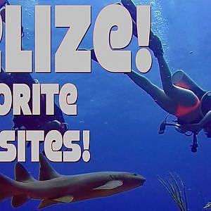 Belize Favorite Dive Sites - Love Tunnel and Tackle Box