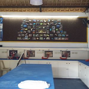 Buceo Anilao camera room