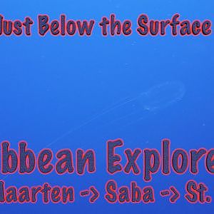 Just Below the Surface - St. Kitts / Caribbean Explorer II