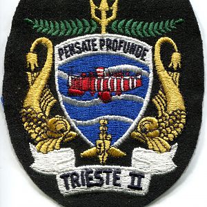 Patch-Trieste2a