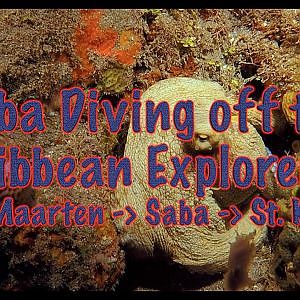 Diving through Saba and St. Kitts