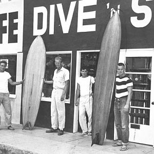 Dive-n-Surf