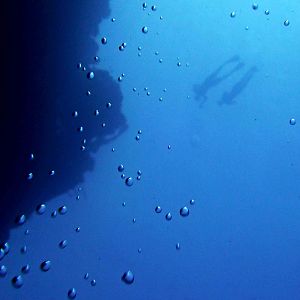 Snorkelling The Walls Of Bunaken