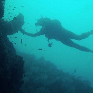 Bong Hua Wreck @ Koh Lipe