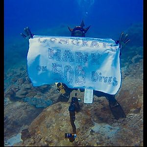 Crossing over 500 dives in Thailand