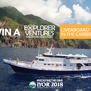Green Fins & International Year of the Reef Contest 2018 | Explorer Ventures