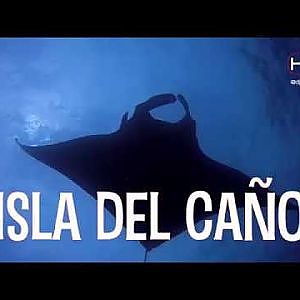 Biodiversity off the coast of Isla del Cano