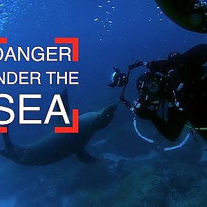 NYUPS - Danger Under The Sea
